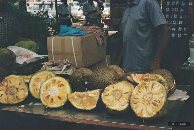 ಹಲಸಿನ ಹಣ್ಣು