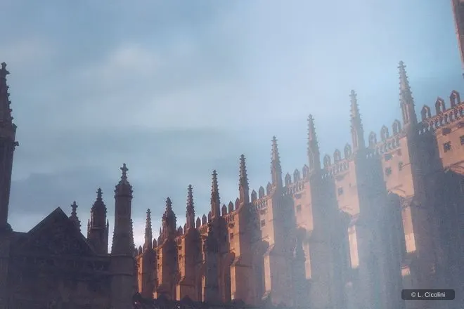 cambridge sometimes you are magical