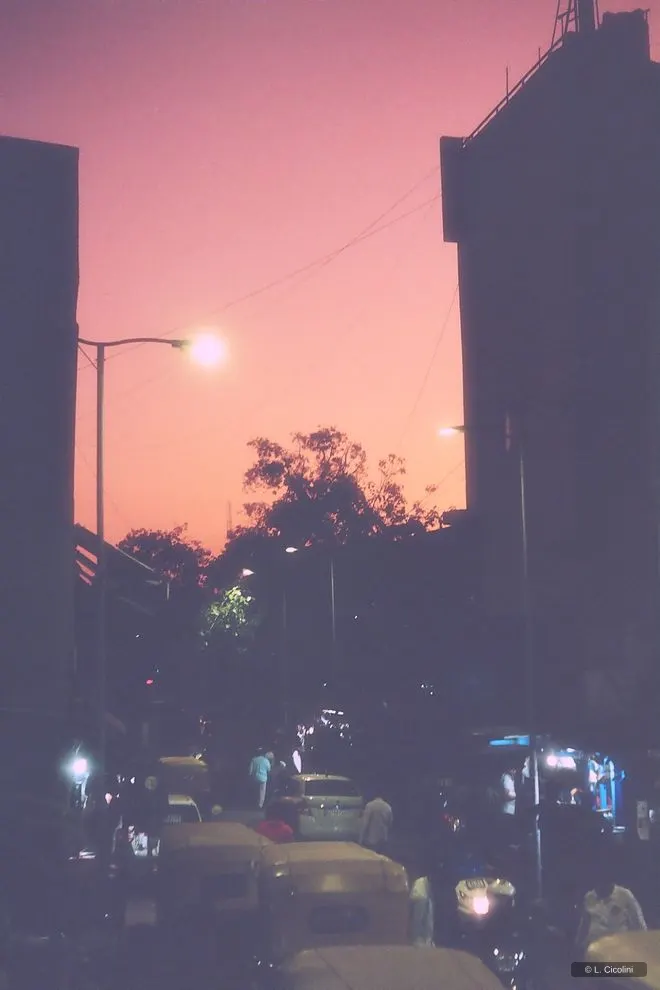 pink dusk