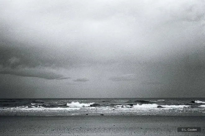 norfolk sea